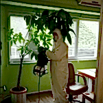 dezenfekte-tam-temizlik